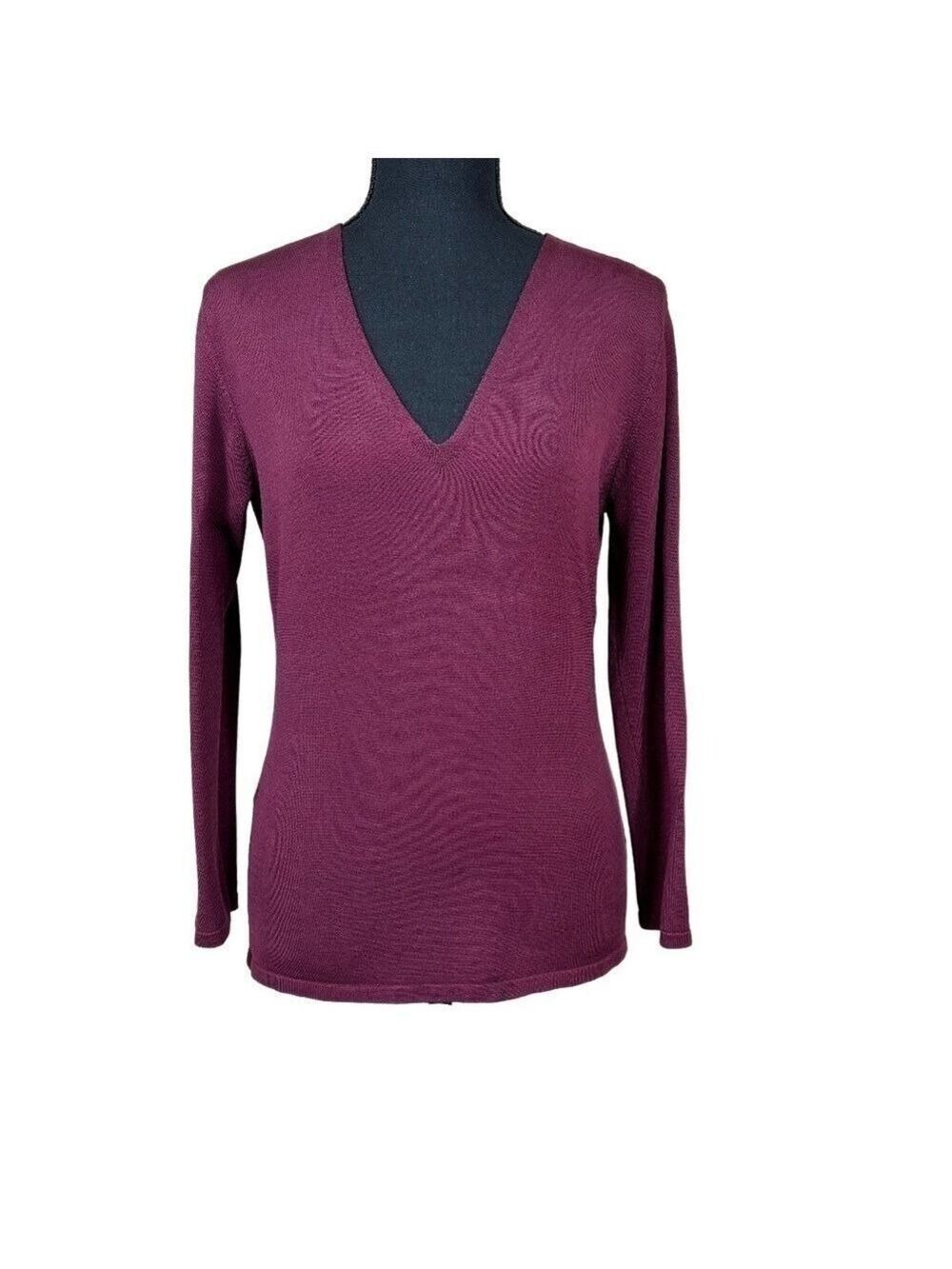 Express Burgundy Long Sleeve Stretch Silk Pullover Top Size Large